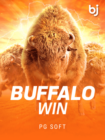 Buffalo Winpng game cover